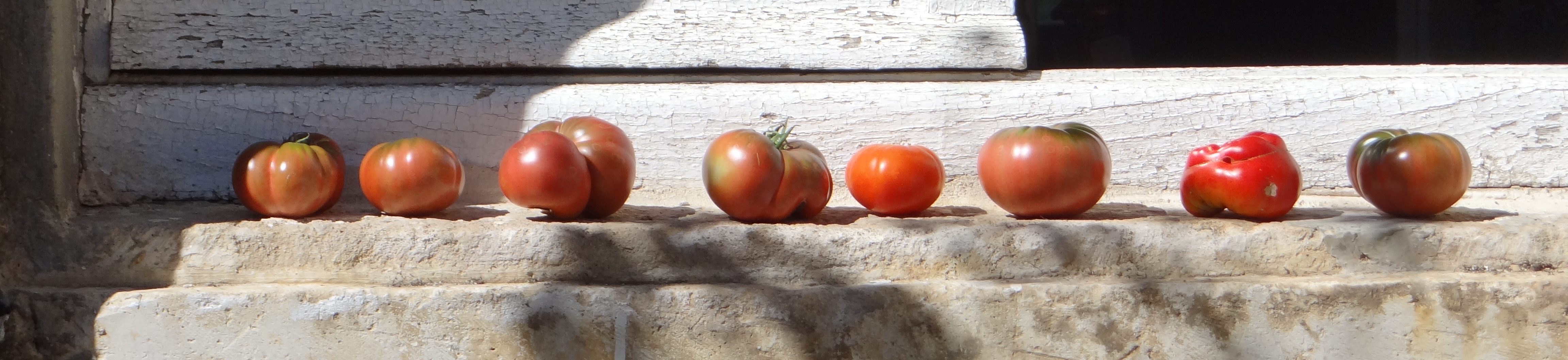 La Tarte aux Grenouilles
